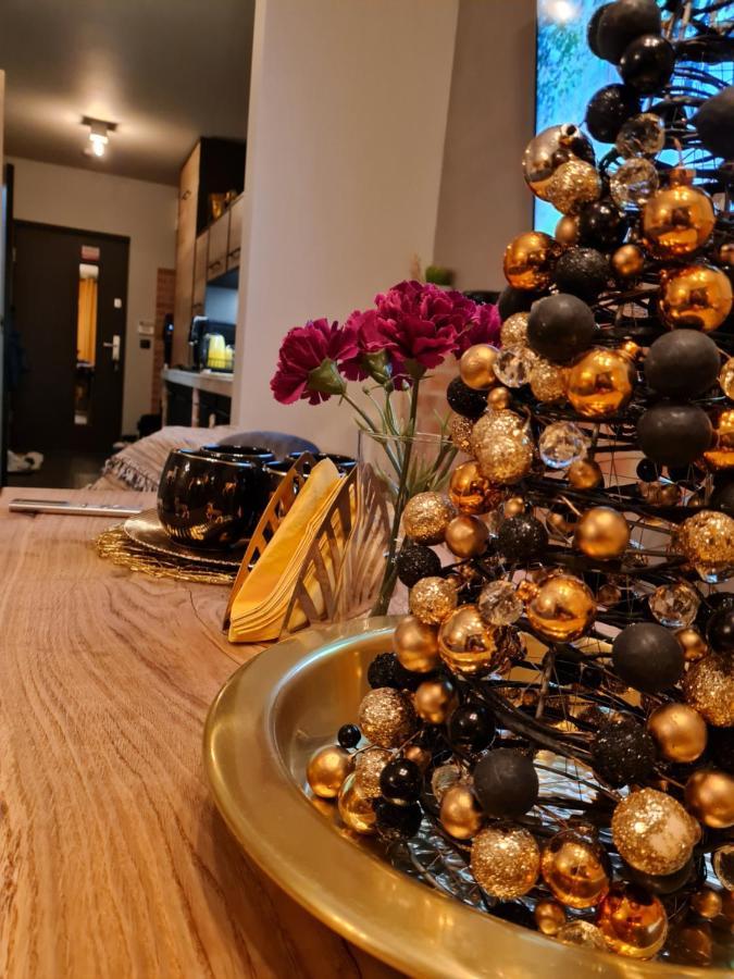 Apartmán Spokoloko Wislanska Zloty B1 *